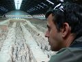 Terracotta Army (010)